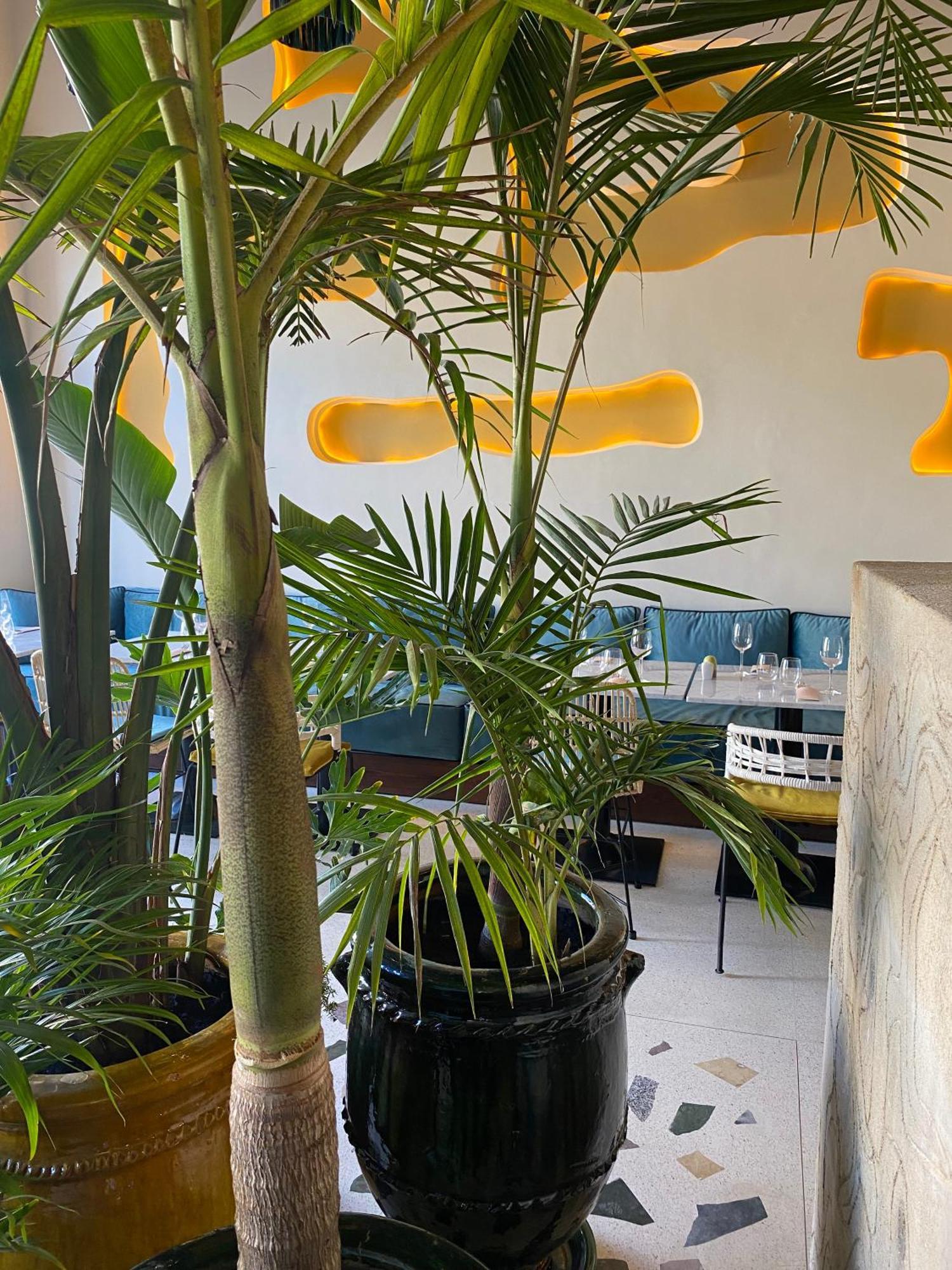 Le Palazzo Hotel Essaouira Bagian luar foto
